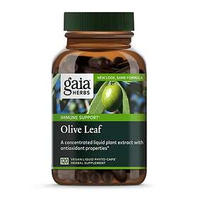 Gaia Herbs Olive Leaf Extract 60 Capsules