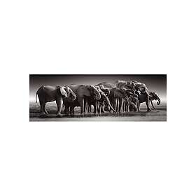 Clementoni Herd of Giants 1000pcs.