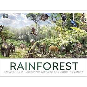 Rainforest