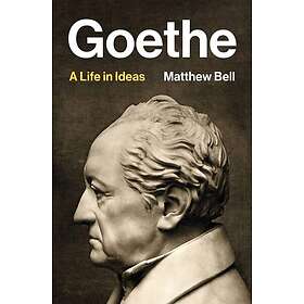 Goethe A Life in Ideas