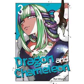 Dragon and Chameleon 03