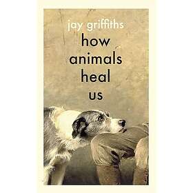 How Animals Heal Us