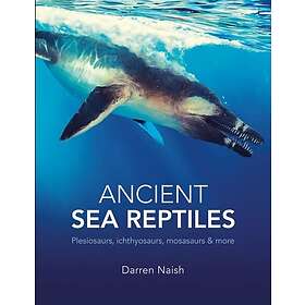 Ancient Sea Reptiles Plesiosaurs, ichthyosaurs, mosasaurs and more