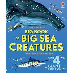 Big Book of Big Sea Creatures