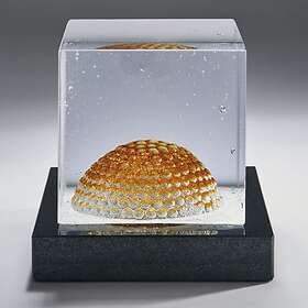 Kosta Boda Dome Ltd Ed, 100ex