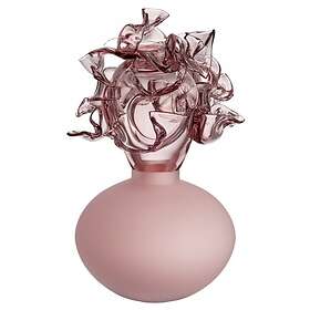 Kosta Boda Mino Rosa, 23cm