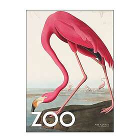 Pink Poster & Frame A.P. Atelier poster 30x40 cm the zoo collection flamingo edt. 002