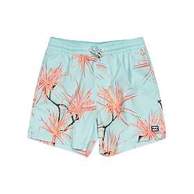 Billabong Vacay Lb Boardshorts 