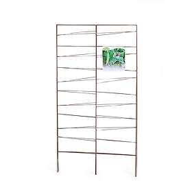 Nelson Garden 55740 151 x 140cm