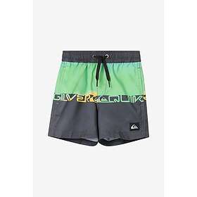 Quiksilver Everyday Straight Badshorts (Jr)