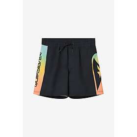 Quiksilver Everyday Holmes Badshorts 