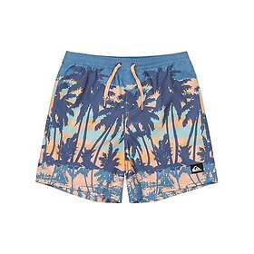 Quiksilver Rak Volley Boardshorts 