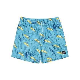 Quiksilver Nästa Gen Boardshorts 