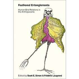 Feathered Entanglements
