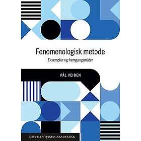 Fenomenologisk metode