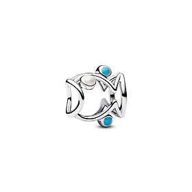 Pandora Moments berlock 793819C01