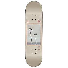 Globe Skateboard G1 Inside Out Alone Together 8,375