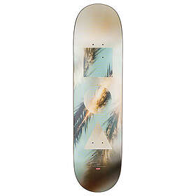 Globe G1 Stack Daydream 8,25