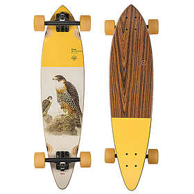 Globe Pintail Falcon 34