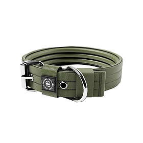 BullyBillows Hundhalsband med Spänne 4 cm Grön (L)