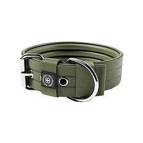 BullyBillows Hundhalsband med Spänne Grön 5 cm (L)