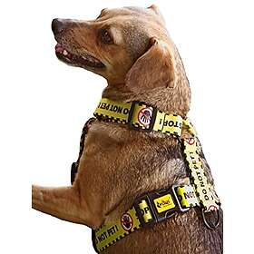 Dingo Gear Hundsele Do Not Pet (M)