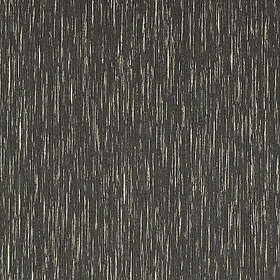 Clarke & Clarke Asper Charcoal/Gilver W0205/01