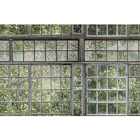 Boråstapeter Greenhouse 9424W