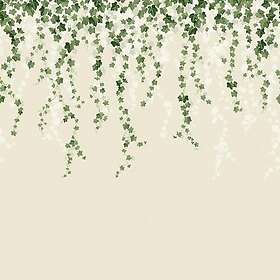 Fine Decor Trailing Ivy Mural MN50942