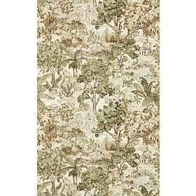Sanderson The Stumpery Lichen DHIP217490
