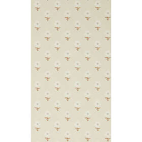Harlequin Fellcroft Champagne HHHW113164