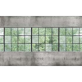 Boråstapeter Concrete Wall Windows 9514W