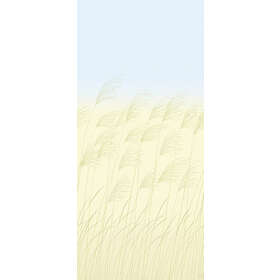 Harlequin Miscanthus HKAW113230