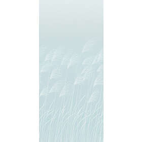 Harlequin Miscanthus HKAW113232