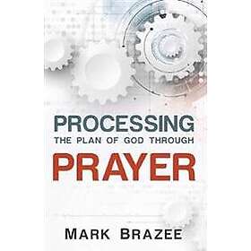 Processing the Plan of God Through Prayer