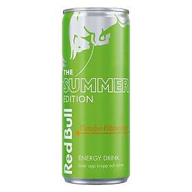 Red Bull The Summer Edition 2024 Curuba-Fläder 25cl
