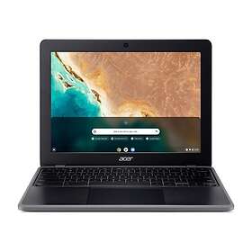 Acer