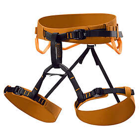 Arcteryx Ar-385a Harness