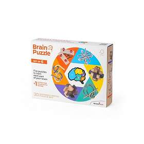 Recent Toys Brain Puzzle Set of 6