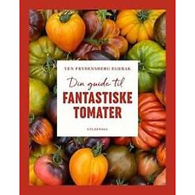Din guide til fantastiske tomater