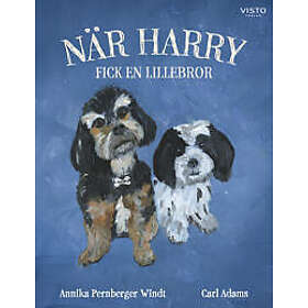 När Harry fick en lillebror