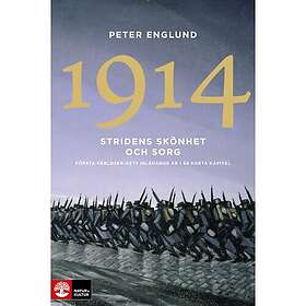 Stridens skönhet och sorg 1914 : första världskrigets inledande år i 68 korta kapitel (pocket)