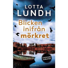 Blicken inifrån mörkret (pocket)