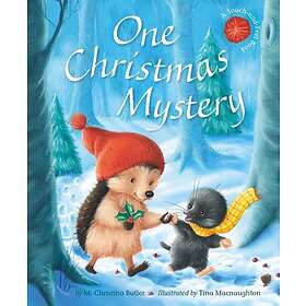 One Christmas Mystery