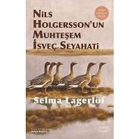 Nils Holgerssonun Muhtesem Isvec Seyahati
