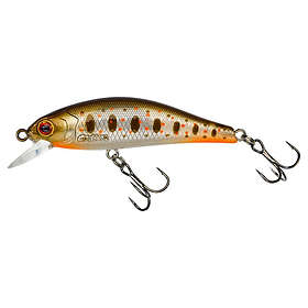 Gunki Rodan 59 Shw Orange Tag Trout