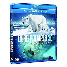 Ours polaires : banquise en péril 3D