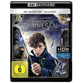 Phantastische Tierwesen und wo sie zu finden sind (4K Ultra HD) (+ Blu-ray)