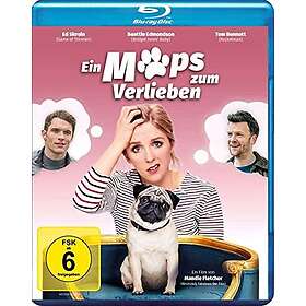 Ein Mops zum Verlieben