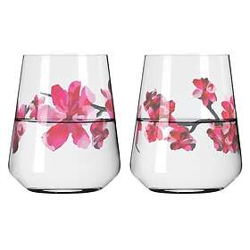 Ritzenhoff Sommersonett Drinking Glasses 2-pack, #3 & 4